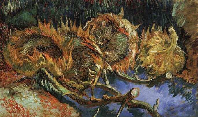 girasoles