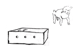 El Cordero y la Caja