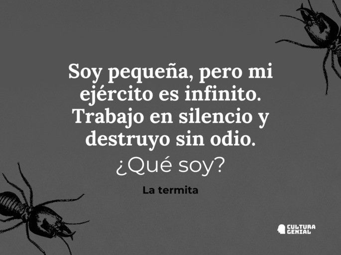 Adivinanzas con respuesta 4