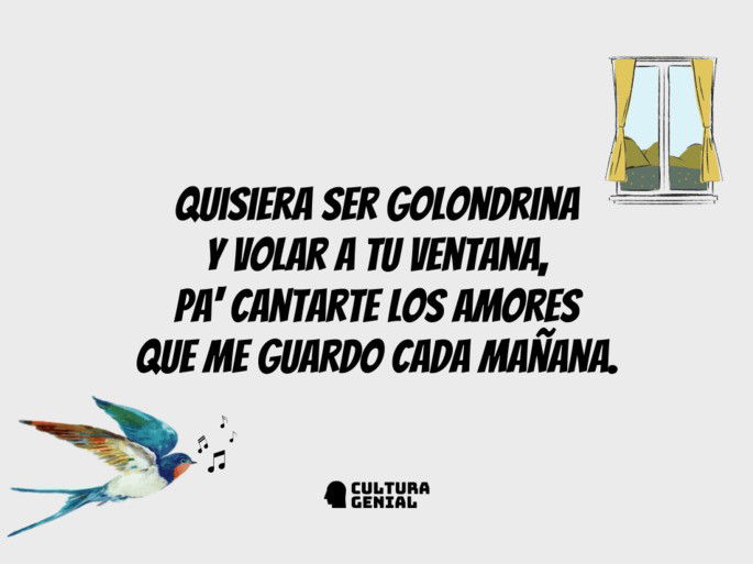 amorfino 3