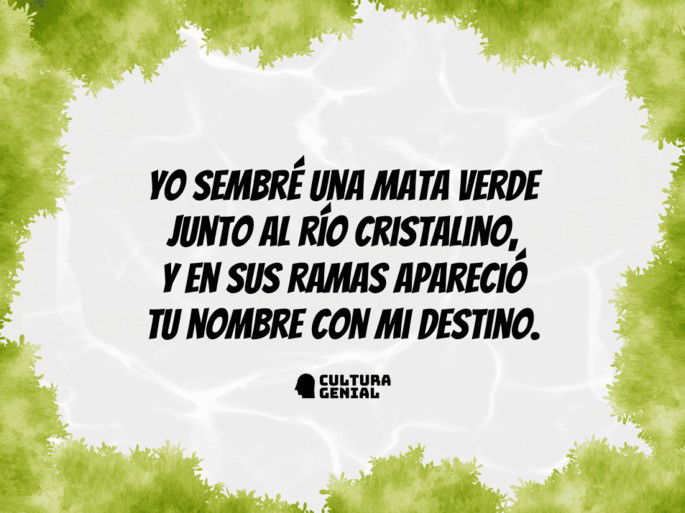 amorfino 7