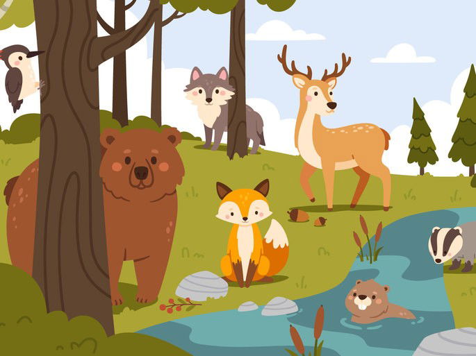 Animales bosque