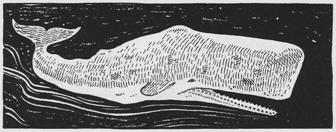 moby dick