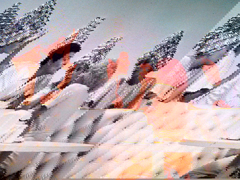 Beauty School Dropout