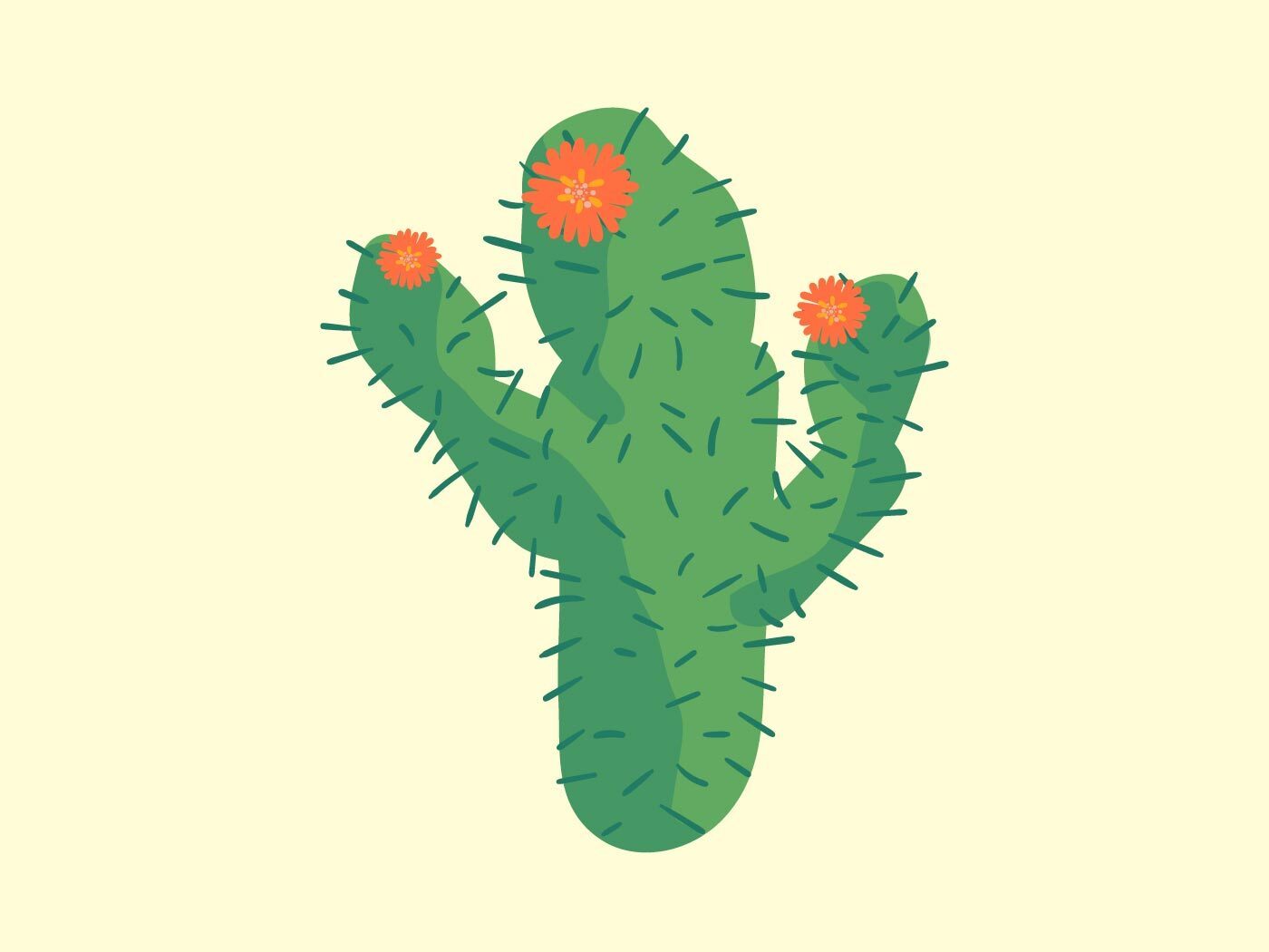 Nopal