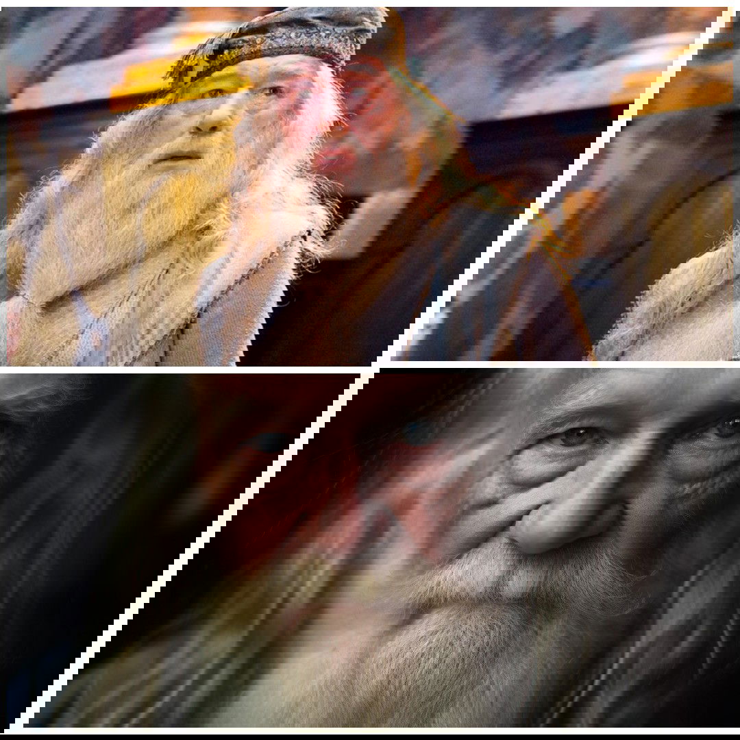 Comparación Dumbledore