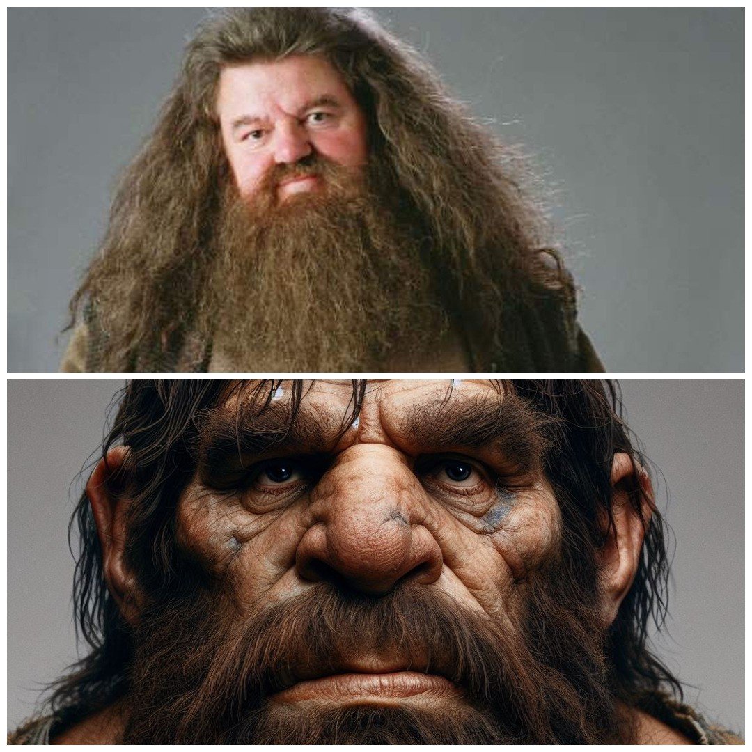 Comparación Hagrid
