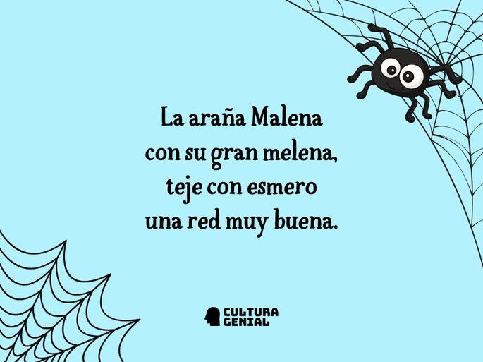 La araña Malena