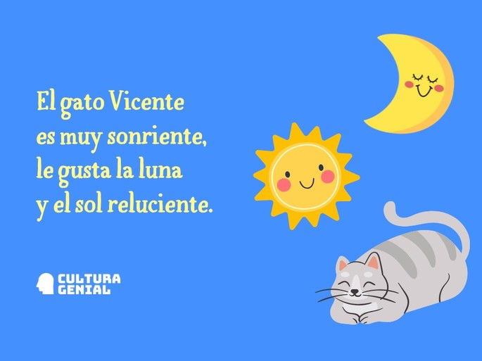 El gato Vicente