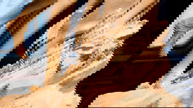 Bernini Apolo y Dafne