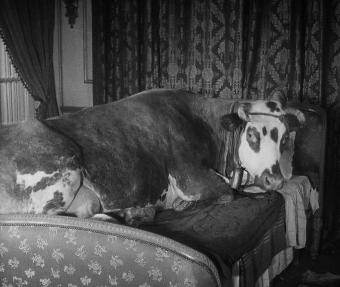 Fotograma de la pelicula La edad de oro