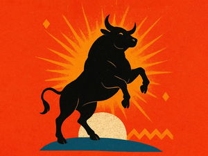 El torito de la piel brillante: resumen y análisis del cuento