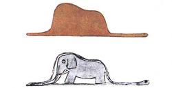 El Elefante dentro de la Boa