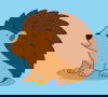 El erizo y la pelota