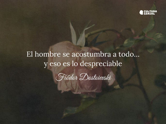 Frases de decepción 4