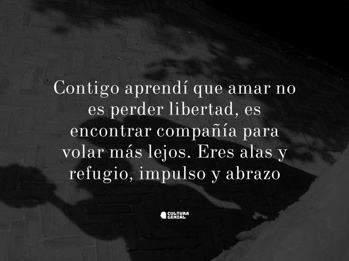 Frase te amo mi amor 13