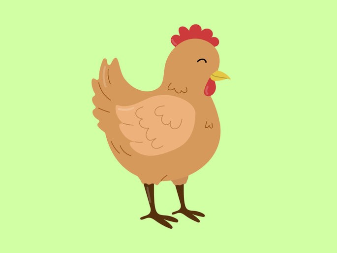 Gallina
