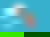 Hada volando