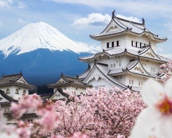 ¿Qué es un haikú? 13 ejemplos para explorar la poesía japonesa