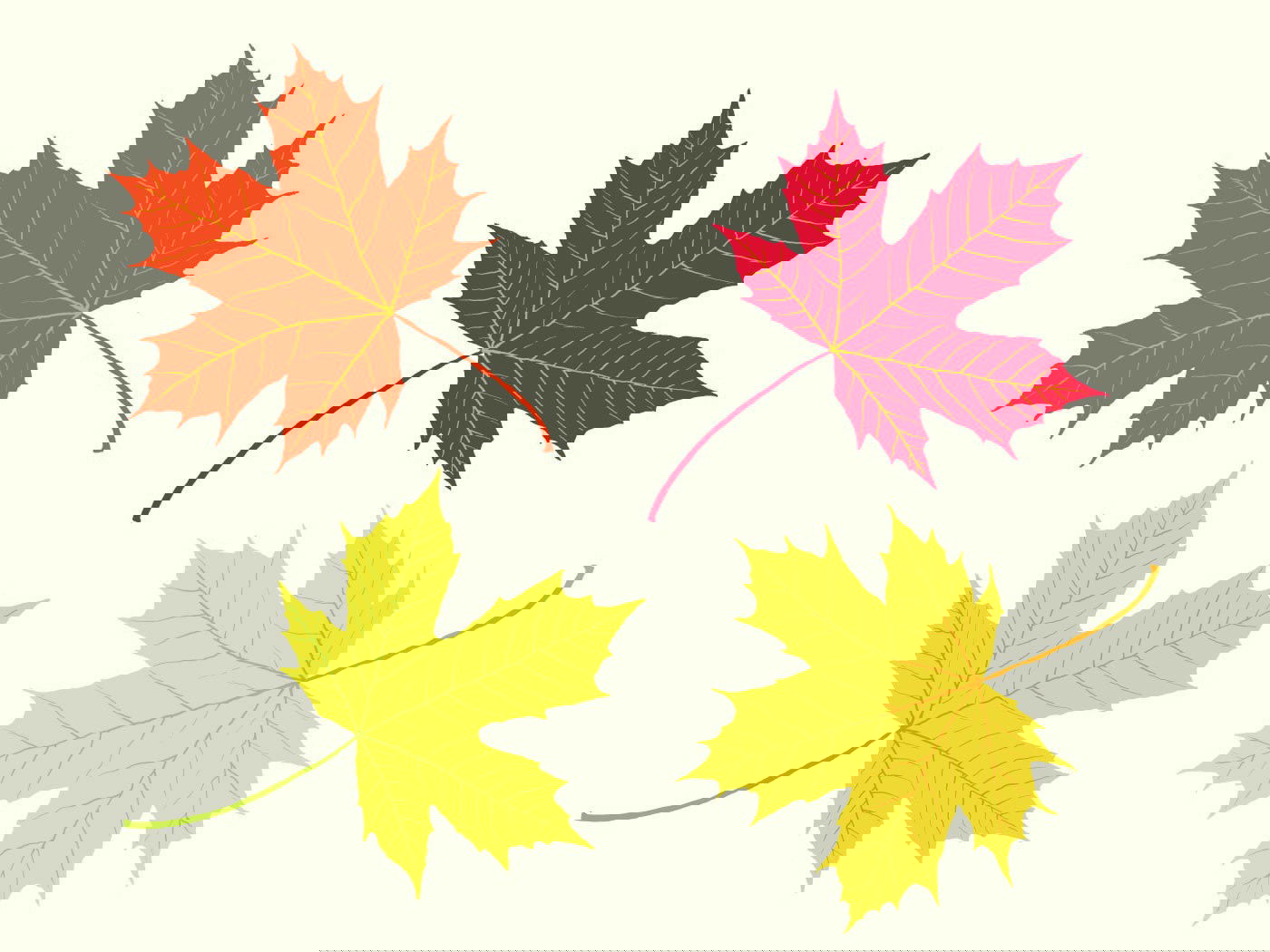 Hojas secas de otoño