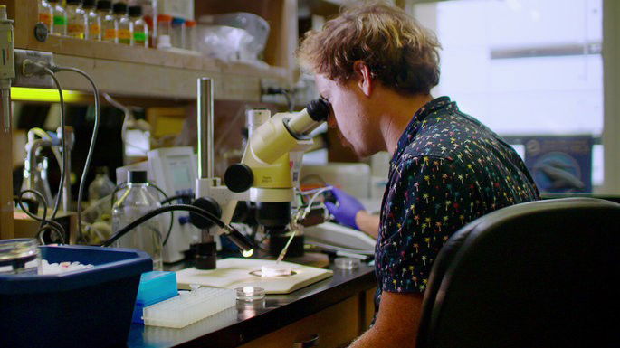 Marco documental Human Nature