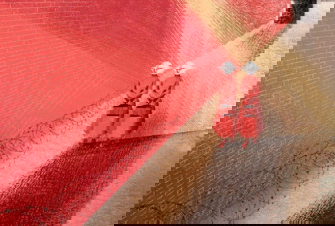 Ilustración del libro.