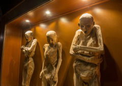 Las momias de Guanajuato: la historia real tras la leyenda mexicana