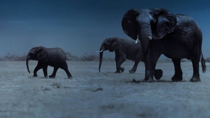 Fotograma del documental La tierra de noche