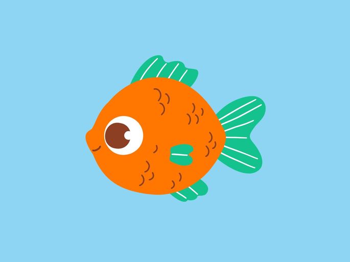 Lindo pez