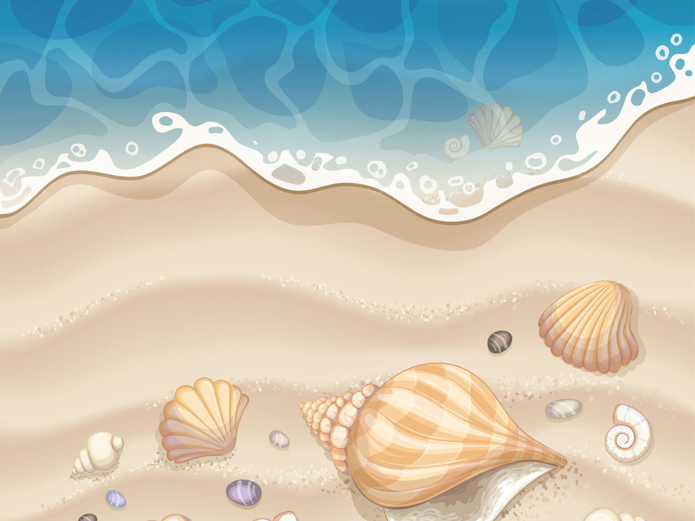 Mar y conchas