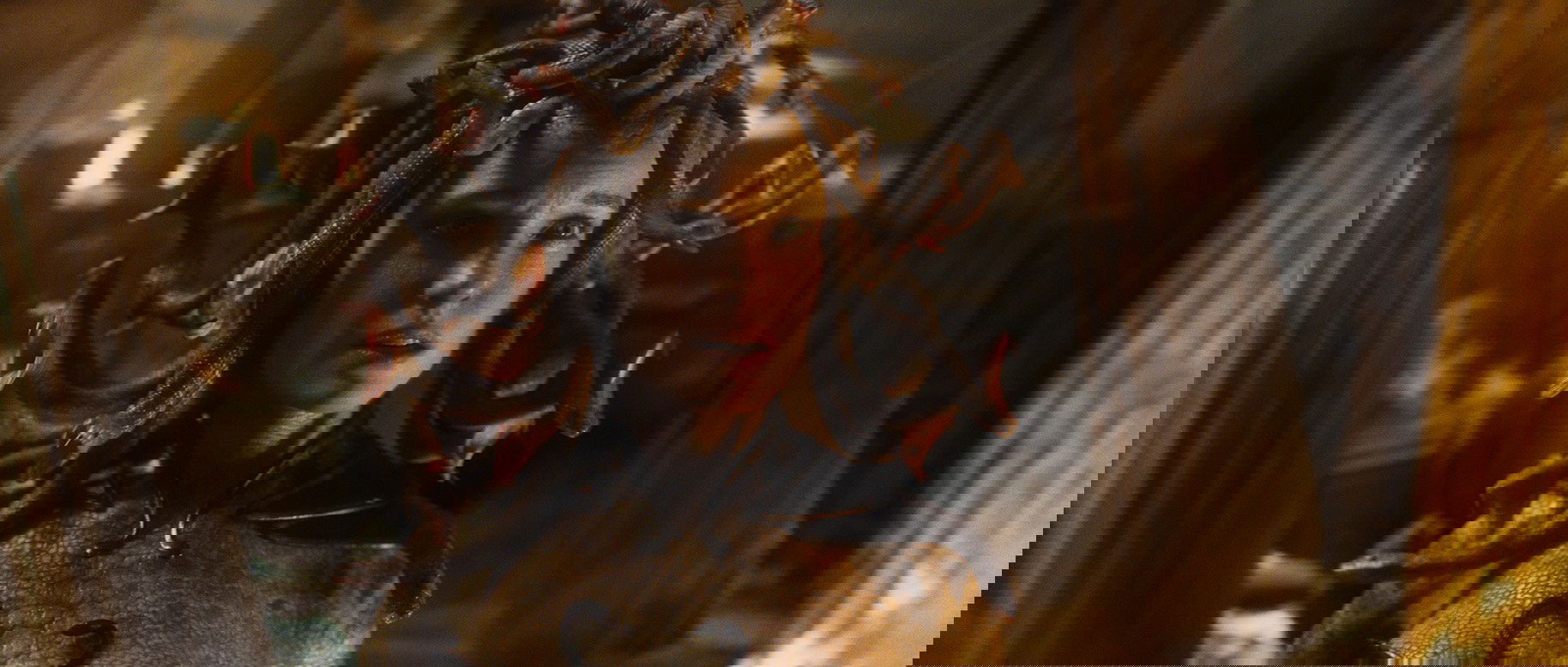 Medusa Furia de titanes