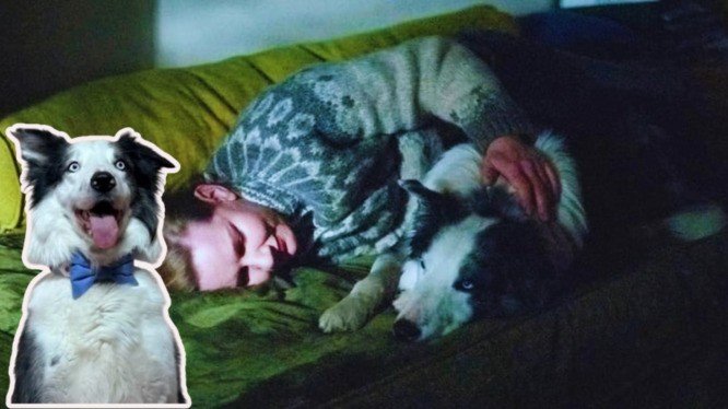 Una mujer abraza a un perro tumbado en la cama en un ambiente oscuro