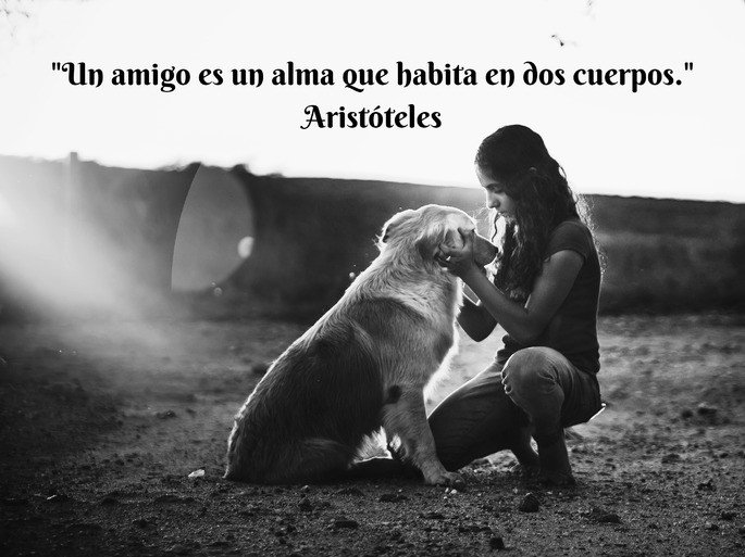 Mensajes de amistad: chica con su perro (almas Aristóteles)
