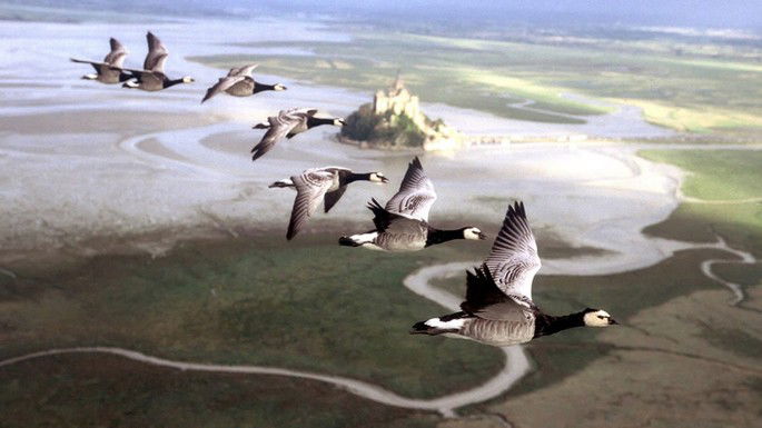 Fotograma del documental Nómadas del viento