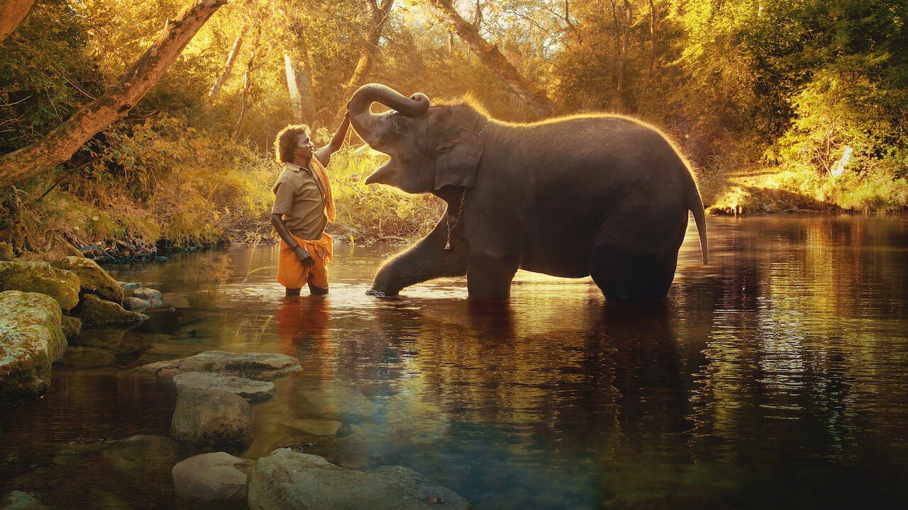 Fotograma de la película Nuestro bebé elefante