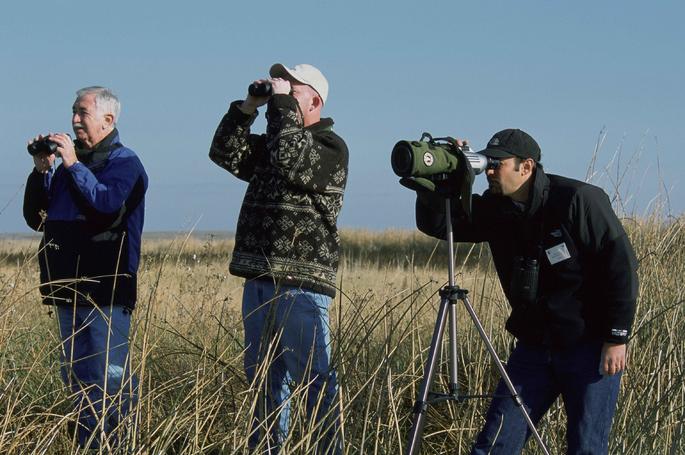 Fotograma del documental Pajareros