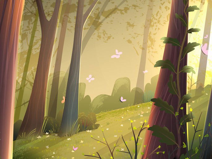 Escena de bosque bonita