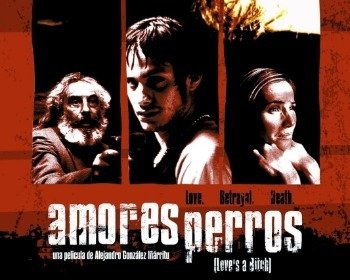 Película Amores perros de Alejandro González Iñárritu
