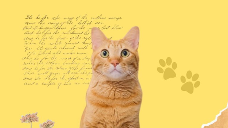 4 poemas de gatos que todo amante de los felinos debe conocer