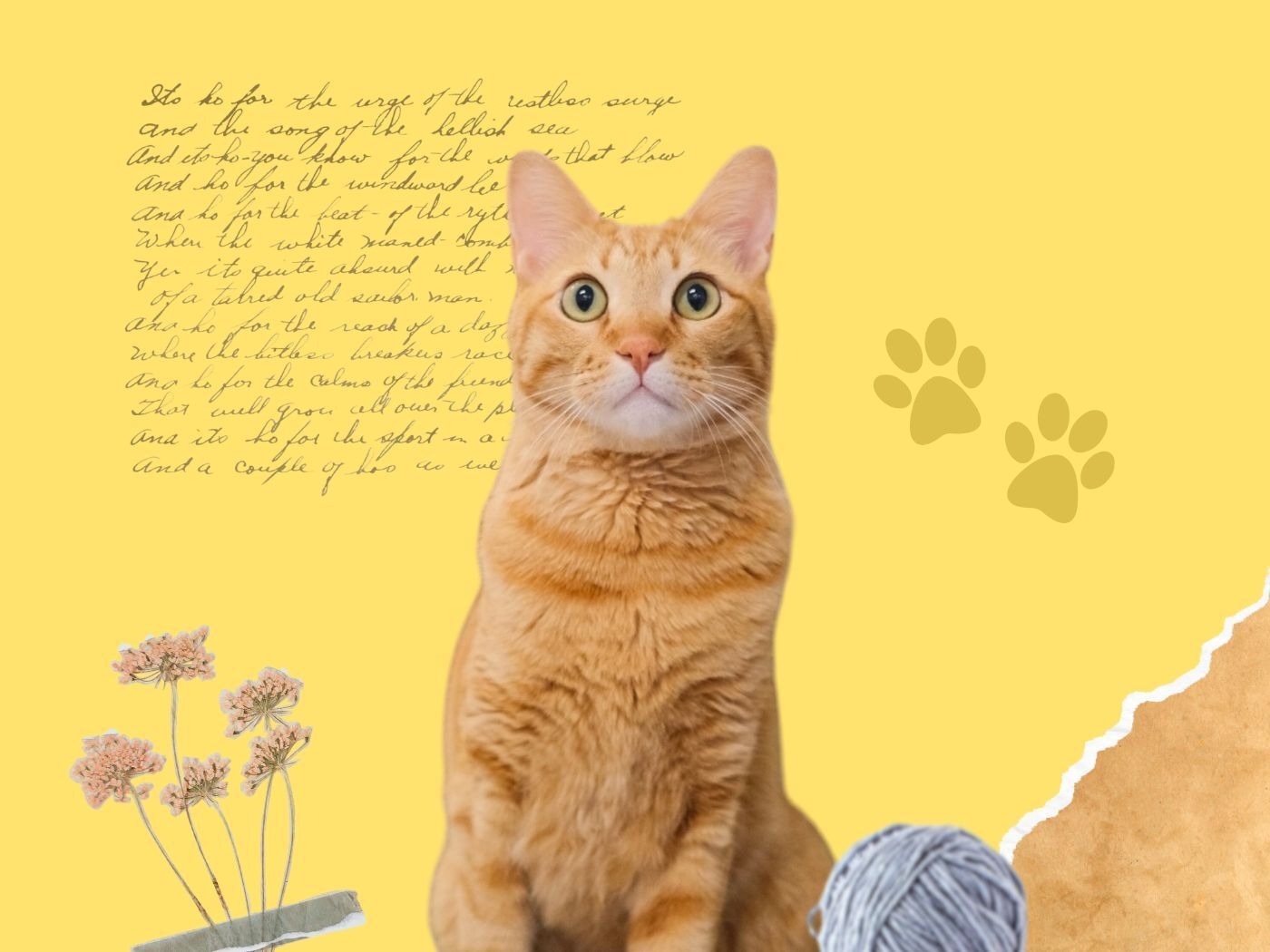 4 poemas de gatos que todo amante de los felinos debe conocer - Cultura