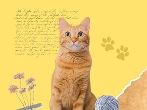 4 poemas de gatos que todo amante de los felinos debe conocer
