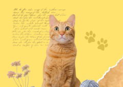 4 poemas de gatos que todo amante de los felinos debe conocer