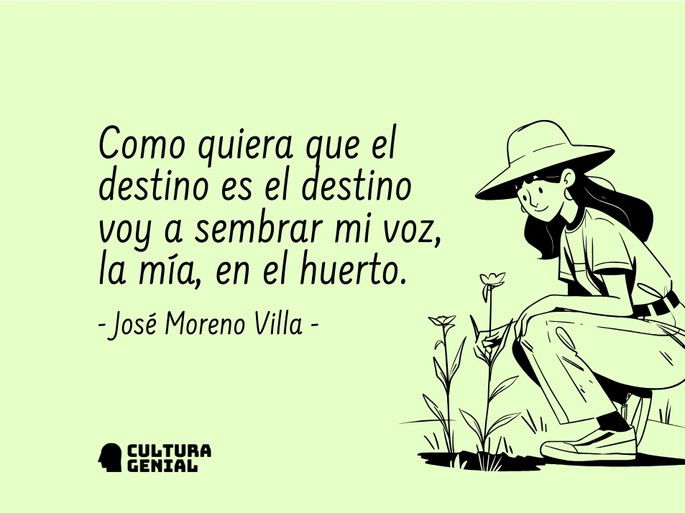 Poema de 3 estrofas moreno villa