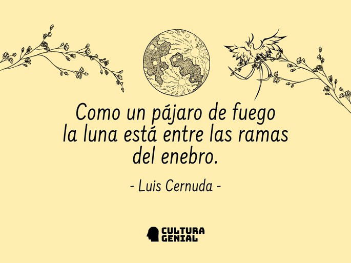 Poema de 3 estrofas cernuda