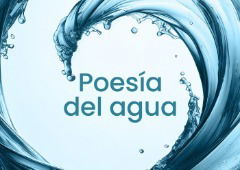 7 poemas sobre el agua que celebran su esencia