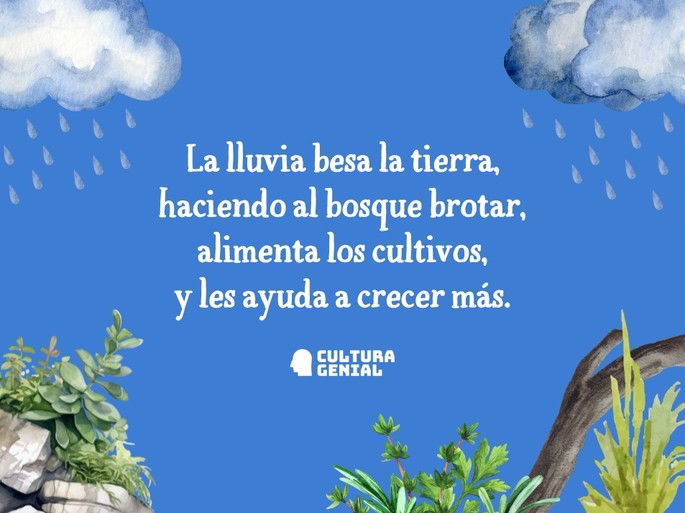 La lluvia besa la tierra
