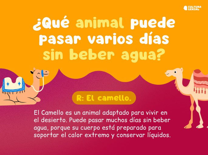 Preguntas de cultura general para niños 3