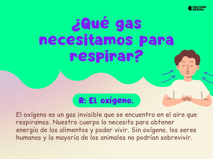 Preguntas de cultura general para niños 5