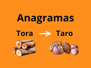 ¿Qué es un anagrama?: definición, historia y ejemplos