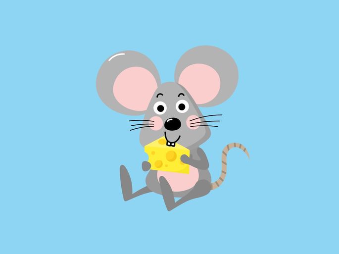 Ratón queso
